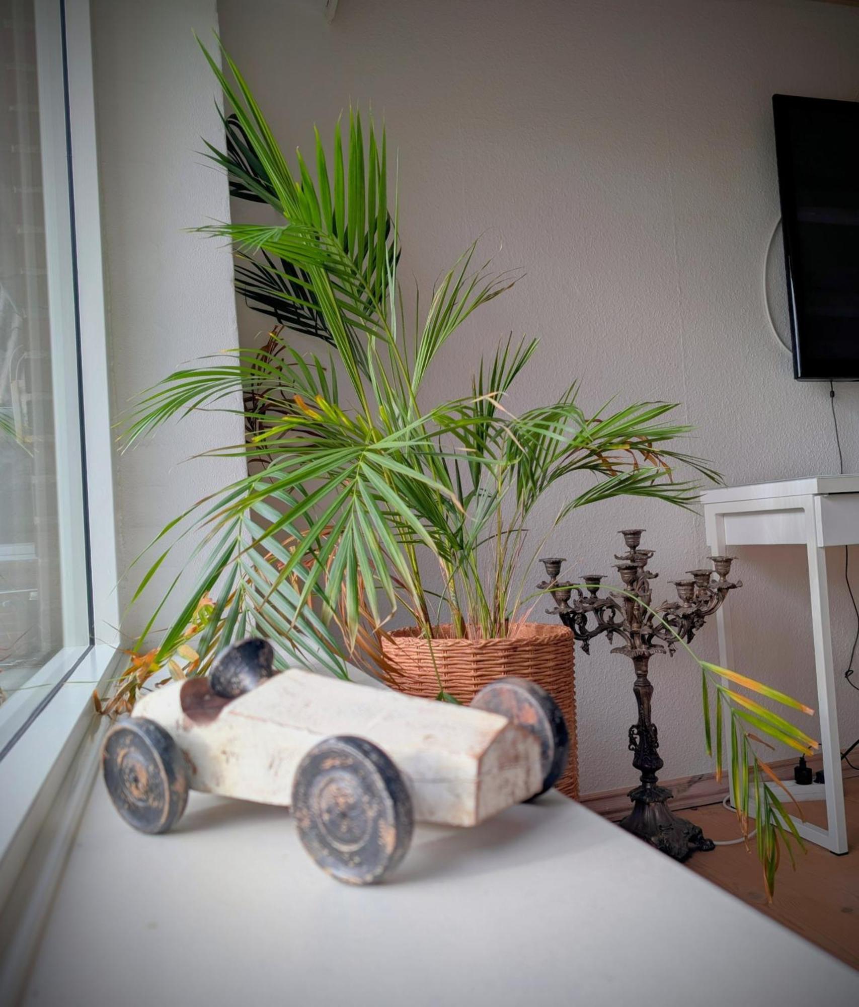 Villa Wunder Spottrup Kültér fotó